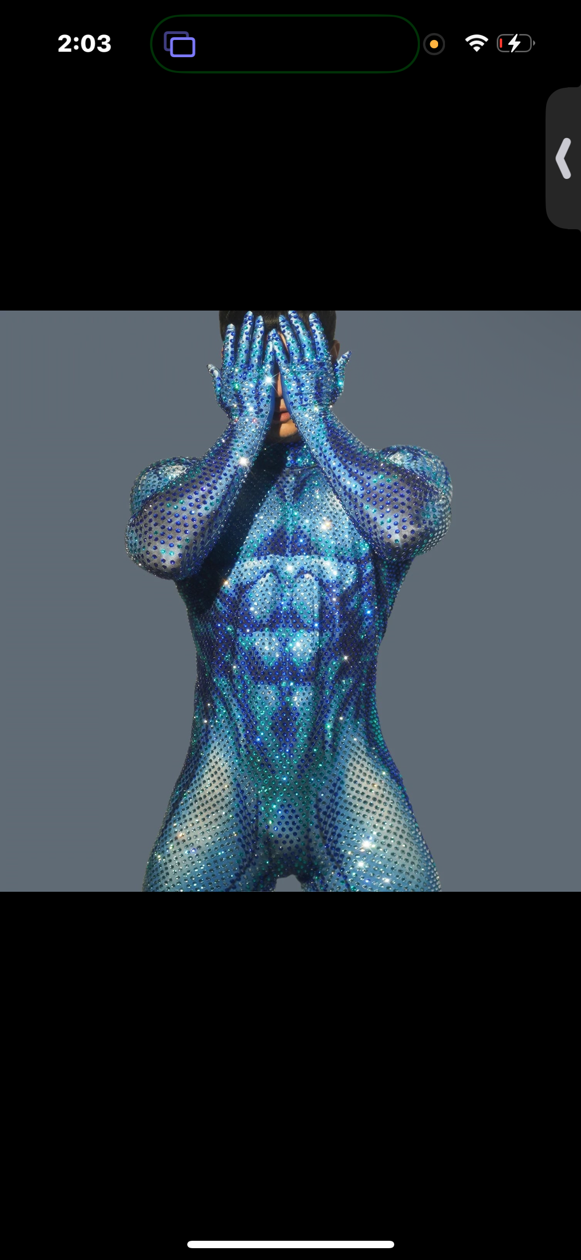 Body suits